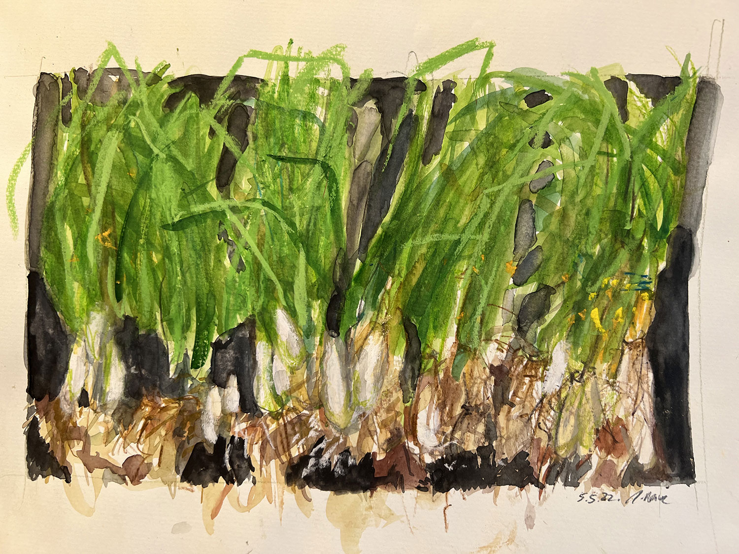 "Frühlingszwiebeln" · A3 · Mischtechnik · 2022