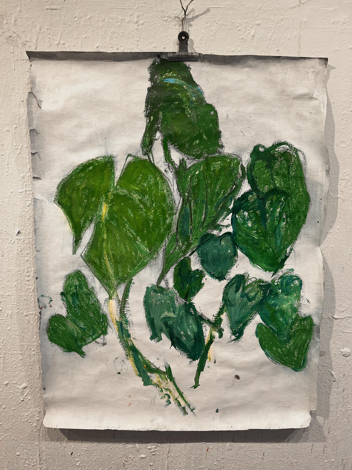 "Philodendronblätter" · 100 x 80 · Skizze auf Recyclingpapier · 2022